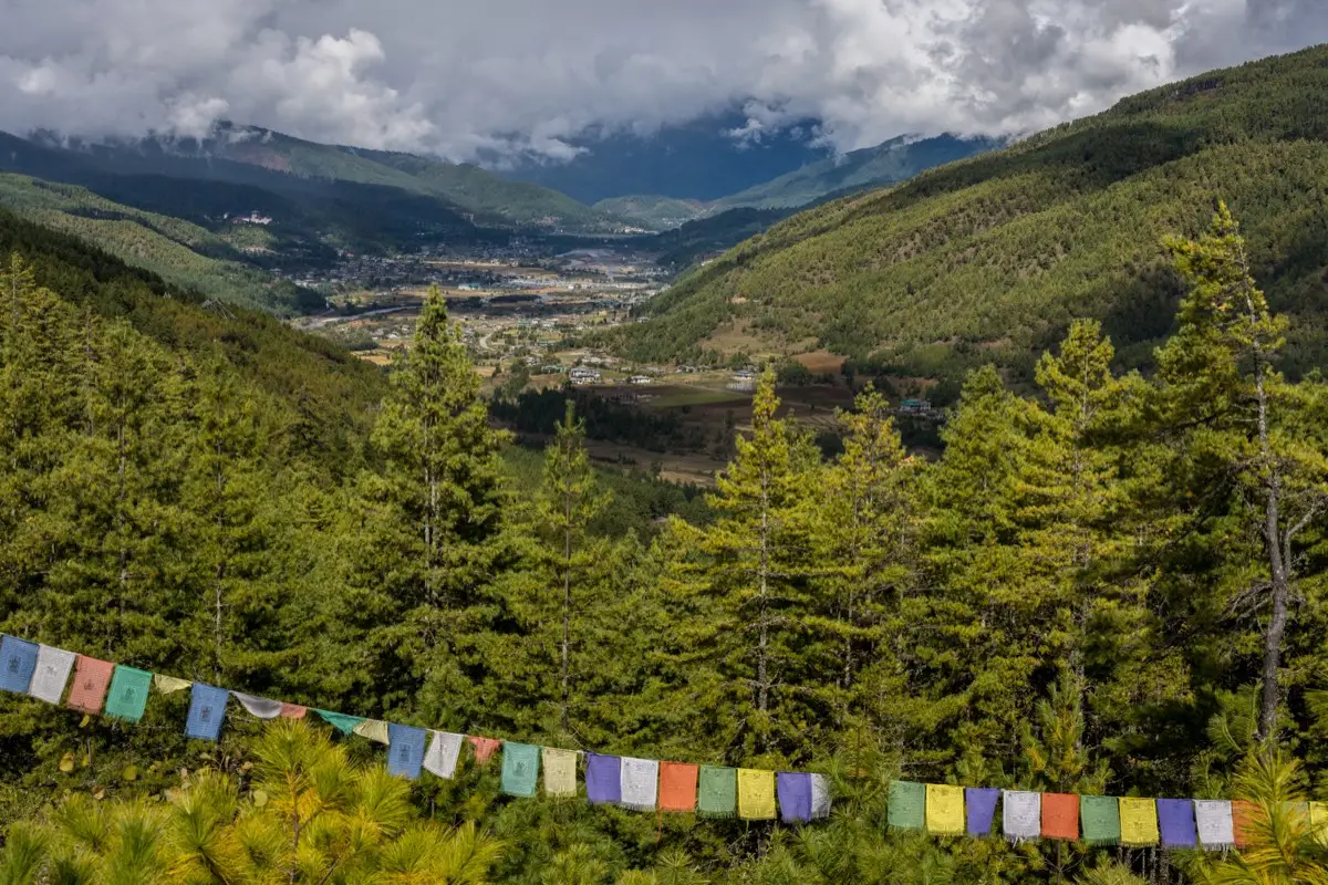 Prayer flags above pine forest, looking down on the Bumthang valley